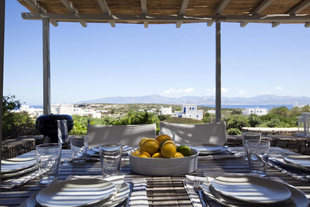 Kallisti Daphne - Gorgeous Villa - An Oasis For 8 People Náousa Eksteriør billede